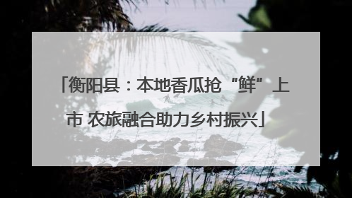 衡阳县：本地香瓜抢“鲜”上市 农旅融合助力乡村振兴