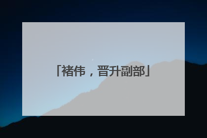 褚伟，晋升副部