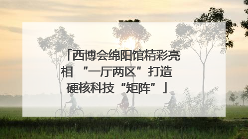 西博会绵阳馆精彩亮相 “一厅两区”打造硬核科技“矩阵”