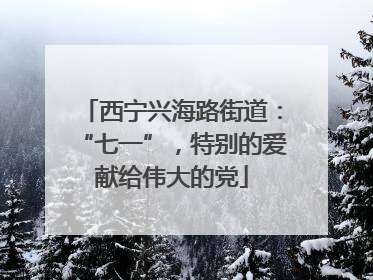 西宁兴海路街道：“七一”，特别的爱献给伟大的党