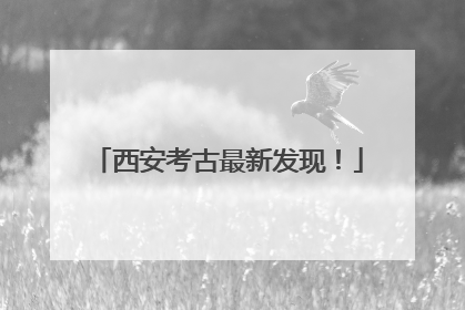 西安考古最新发现！
