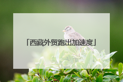 西藏外贸跑出加速度