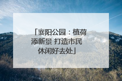 襄阳公园：植荷添新景 打造市民休闲好去处