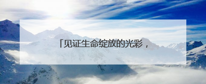 见证生命绽放的光彩，中国残疾人艺术团《我的梦》在沪公益演出