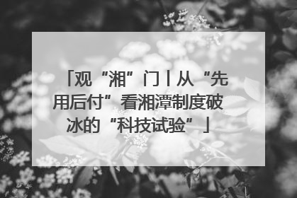 观“湘”门丨从“先用后付”看湘潭制度破冰的“科技试验”