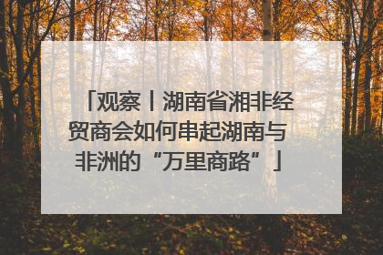 观察丨湖南省湘非经贸商会如何串起湖南与非洲的“万里商路”