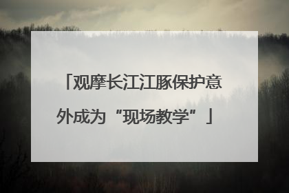 观摩长江江豚保护意外成为“现场教学”