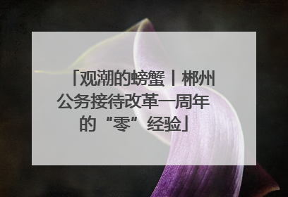 观潮的螃蟹丨郴州公务接待改革一周年的“零”经验