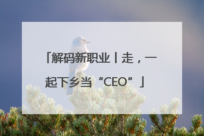 解码新职业丨走，一起下乡当“CEO”