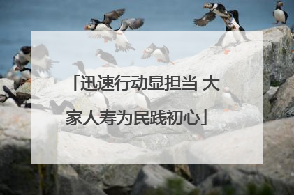 迅速行动显担当 大家人寿为民践初心
