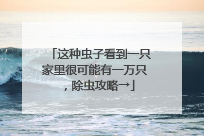 这种虫子看到一只家里很可能有一万只，除虫攻略→