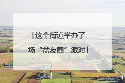 这个街道举办了一场“盆友圈”派对