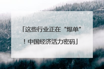 这些行业正在“爆单”！中国经济活力密码