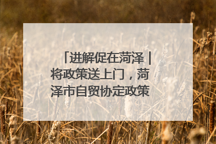 进解促在菏泽｜将政策送上门，菏泽市自贸协定政策专题宣讲会召开
