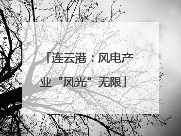 连云港：风电产业“风光”无限
