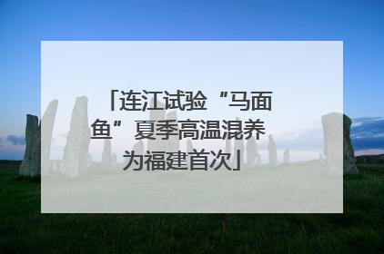 连江试验“马面鱼”夏季高温混养 为福建首次