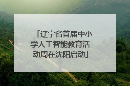 辽宁省首届中小学人工智能教育活动周在沈阳启动