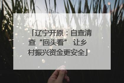 辽宁开原：自查清查“回头看” 让乡村振兴资金更安全