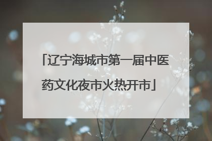 辽宁海城市第一届中医药文化夜市火热开市
