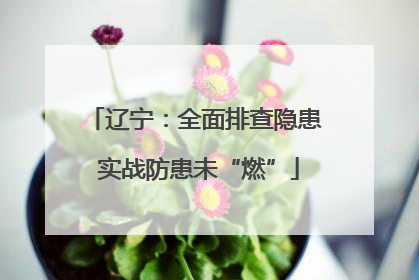 辽宁：全面排查隐患 实战防患未“燃”