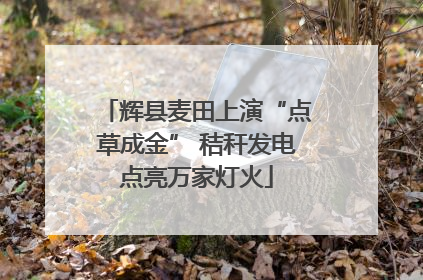 辉县麦田上演“点草成金” 秸秆发电点亮万家灯火