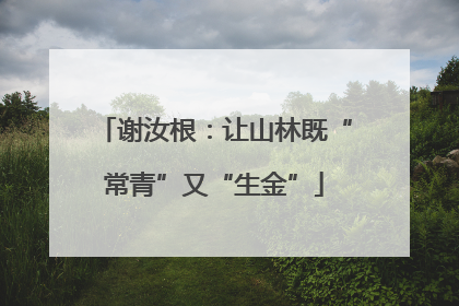 谢汝根：让山林既“常青”又“生金”