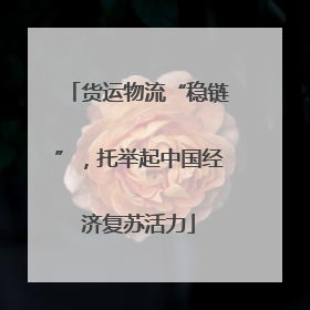 货运物流“稳链”，托举起中国经济复苏活力