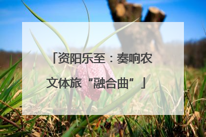 资阳乐至：奏响农文体旅“融合曲”