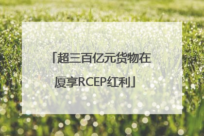 超三百亿元货物在厦享RCEP红利
