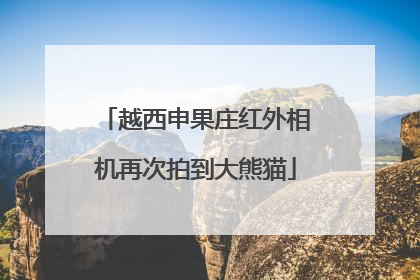 越西申果庄红外相机再次拍到大熊猫