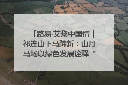 路易·艾黎中国情｜祁连山下马蹄新：山丹马场以绿色发展诠释“两山”理论实践