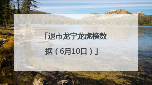 退市龙宇龙虎榜数据（6月10日）