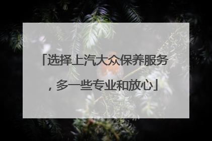 选择上汽大众保养服务，多一些专业和放心