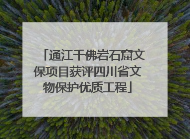 通江千佛岩石窟文保项目获评四川省文物保护优质工程