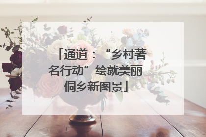 通道：“乡村著名行动”绘就美丽侗乡新图景