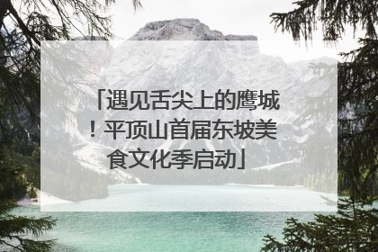 遇见舌尖上的鹰城！平顶山首届东坡美食文化季启动
