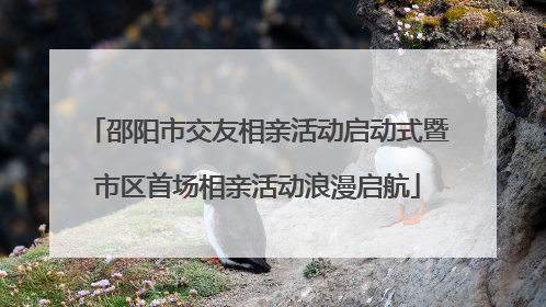 邵阳市交友相亲活动启动式暨市区首场相亲活动浪漫启航