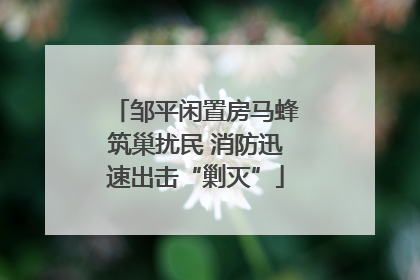邹平闲置房马蜂筑巢扰民 消防迅速出击“剿灭”