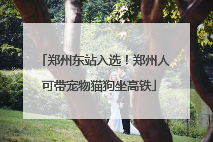 郑州东站入选！郑州人可带宠物猫狗坐高铁