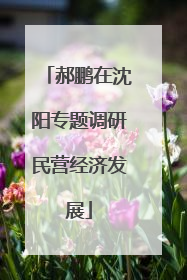 郝鹏在沈阳专题调研民营经济发展