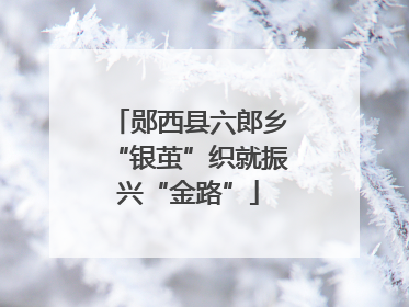 郧西县六郎乡“银茧”织就振兴“金路”
