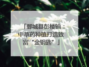 鄄城县彭楼镇：中草药种植打造致富“金钥匙”