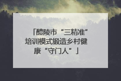 醴陵市“三精准”培训模式锻造乡村健康“守门人”