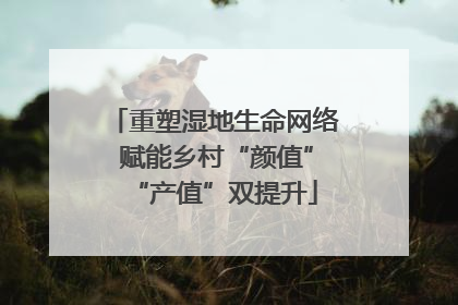重塑湿地生命网络 赋能乡村“颜值”“产值”双提升