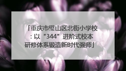 重庆市璧山区北街小学校：以“344”进阶式校本研修体系锻造新时代强师