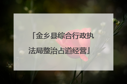 金乡县综合行政执法局整治占道经营