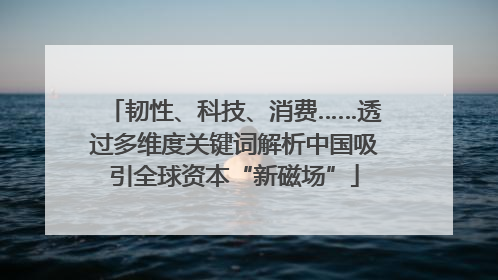 韧性、科技、消费……透过多维度关键词解析中国吸引全球资本“新磁场”