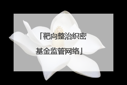 靶向整治织密基金监管网络