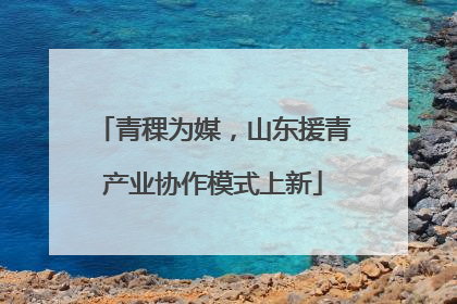 青稞为媒，山东援青产业协作模式上新