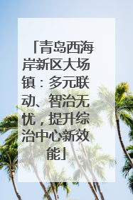 青岛西海岸新区大场镇：多元联动、智治无忧，提升综治中心新效能